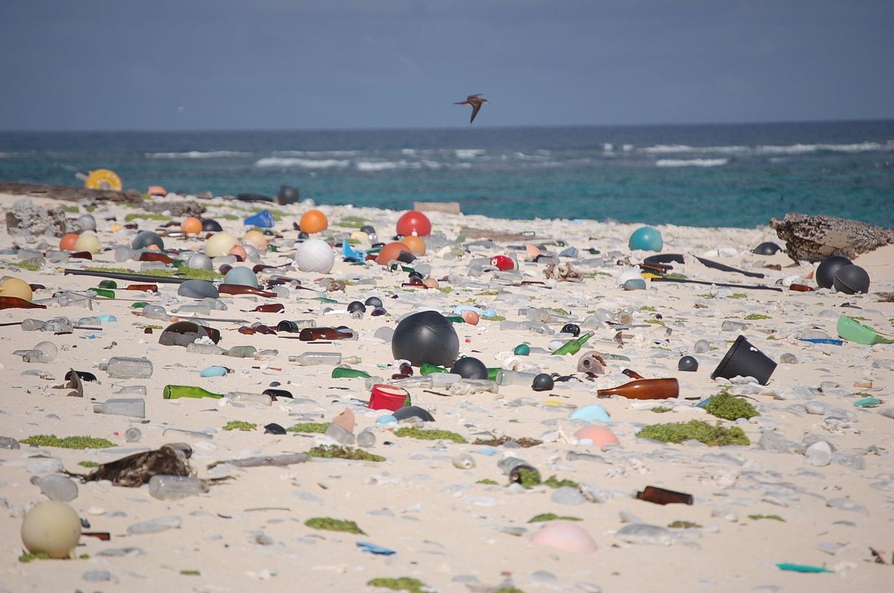 Awesome Sustainable Brands