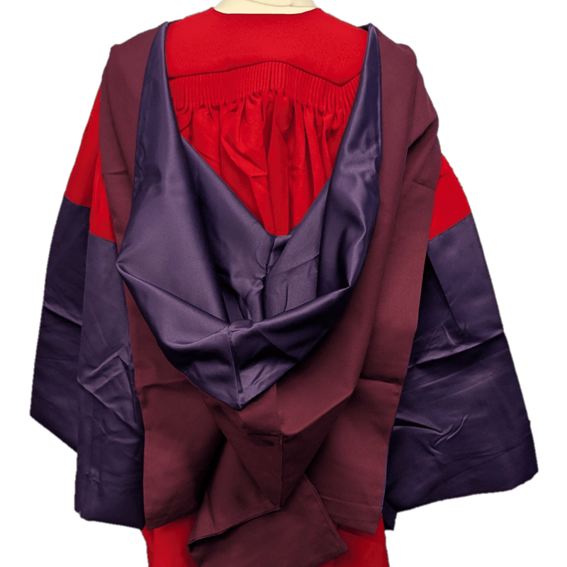 Bristol University PhD Hood