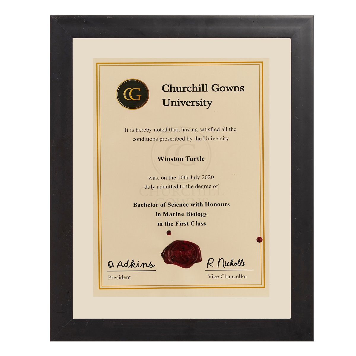 Single Modern Certificate Frame