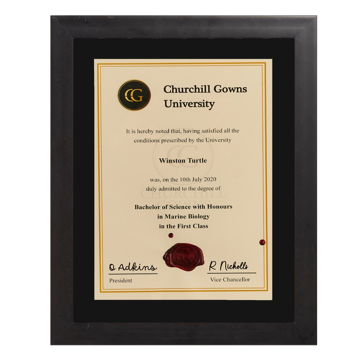 Single Modern Certificate Frame