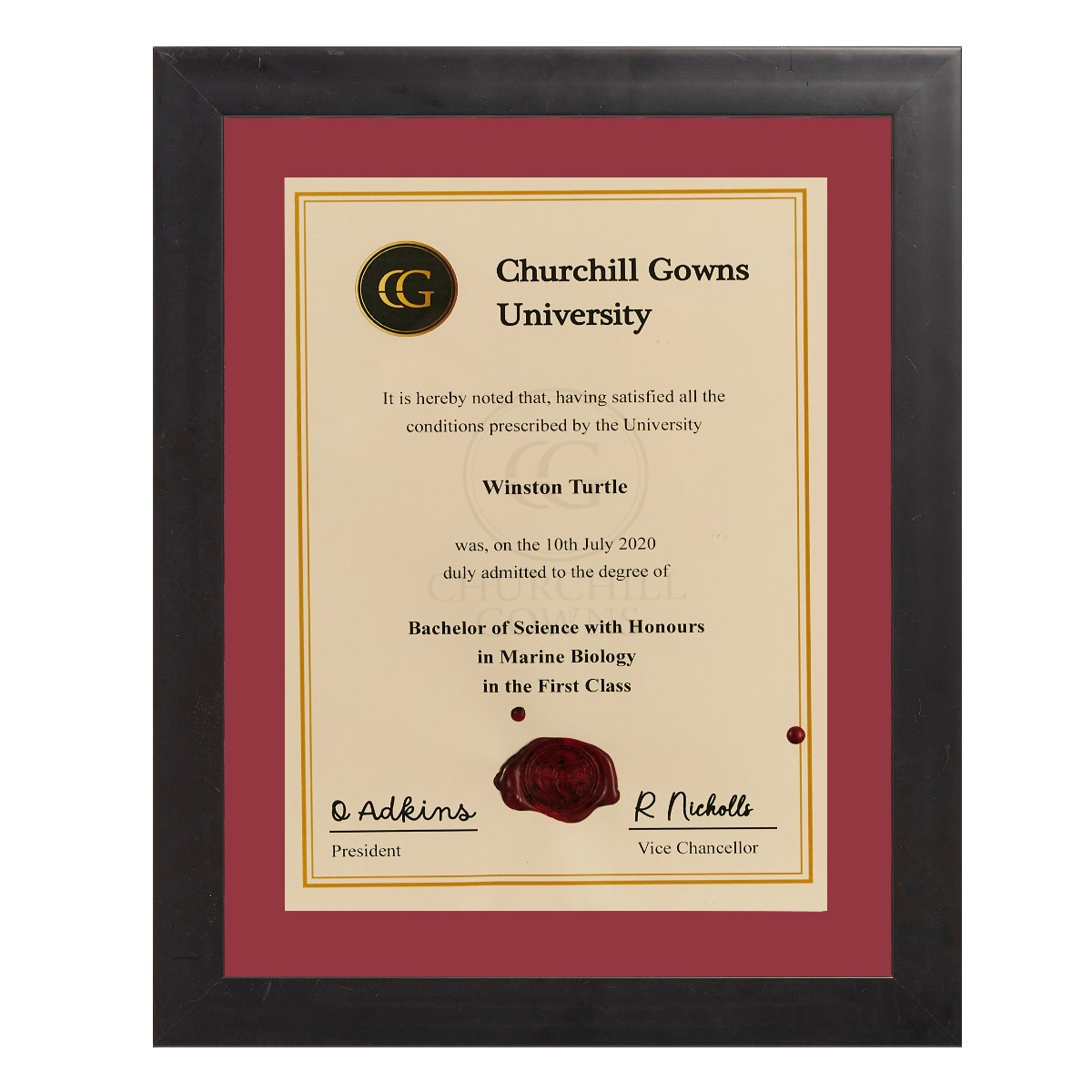 Single Modern Certificate Frame